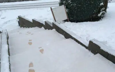 Pourquoi la moquette de pierre est-elle considérée comme résistante aux intempéries ? 